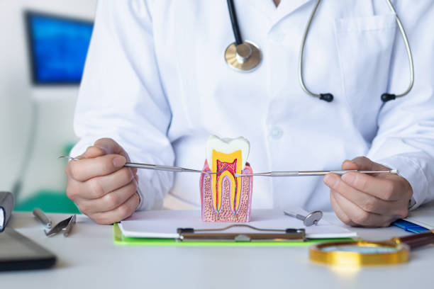 Best Pediatric Emergency Dentist in Madison, NC